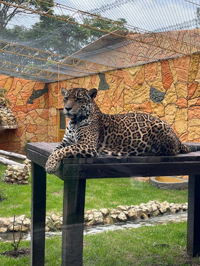 BOGOTA: Tour of Jaime Duque Park, Zoo, and Aerospace Museum - Los Angeles Fountain Garden and the Medieval Castle moments