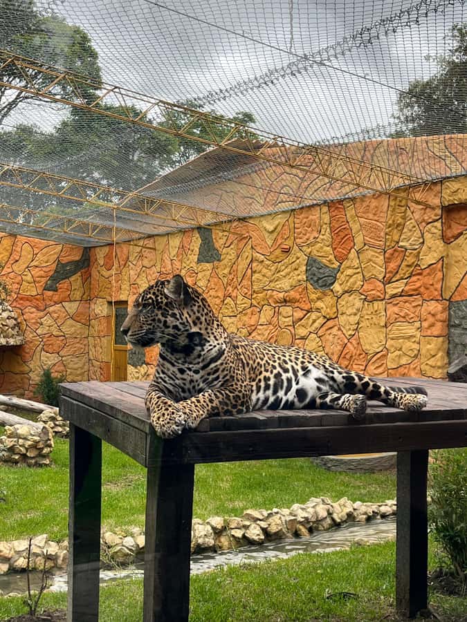 BOGOTA: Tour of Jaime Duque Park, Zoo, and Aerospace Museum - Theater show and free time: how to pace a 6-hour day