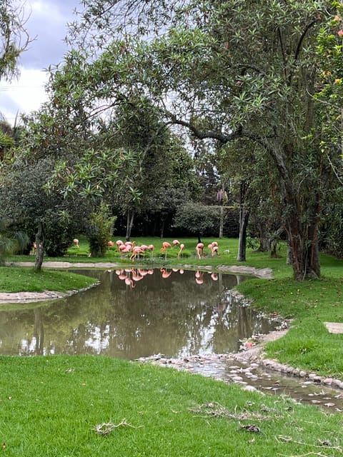 BOGOTA: Tour of Jaime Duque Park, Zoo, and Aerospace Museum - Who this tour is best for (and who should look elsewhere)