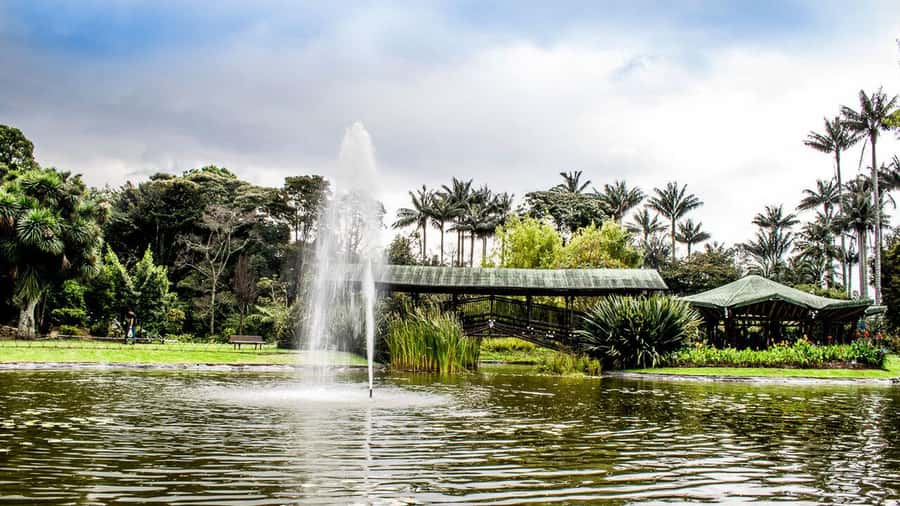 BOGOTA: Visit to the Botanical Garden and Ugly Betty's House - Who should book this tour