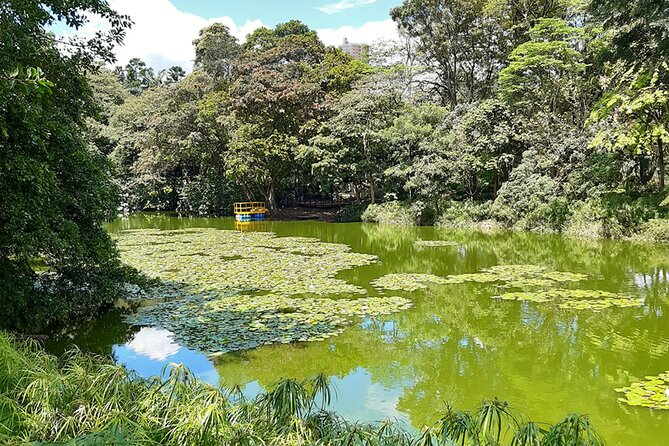Botanical Garden and Arvi Park Medellín City Tour - Guides and language: private, but double-check the fit