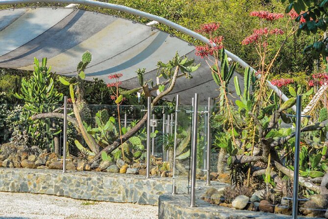 Botanical Garden and Arvi Park Medellín City Tour - Price and value: what you pay for (and what you still need to plan)