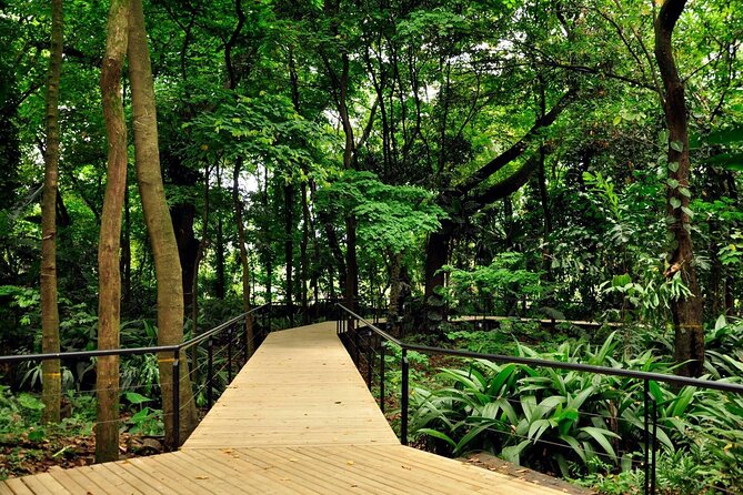 Botanical Garden and Arvi Park Medellín City Tour - Who this Medellín nature contrast tour fits best