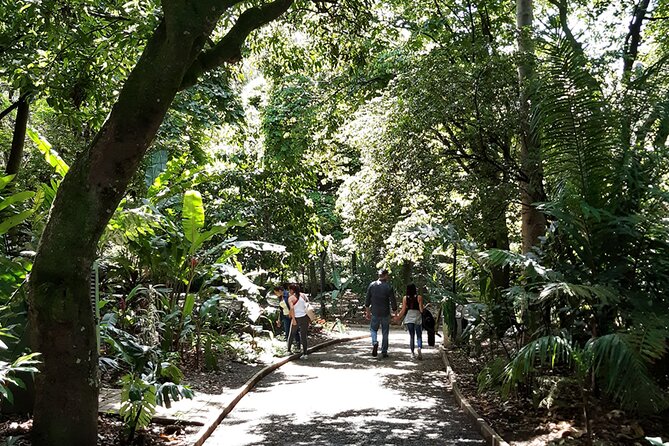 Botanical Garden and Arvi Park Medellín City Tour - Should you book this tour?