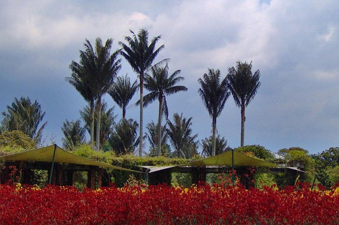 Botanical Garden Bogotá Private Tour (4 Hrs.) - Price and Value: Is $119 Per Person Fair for a Private Garden Tour?