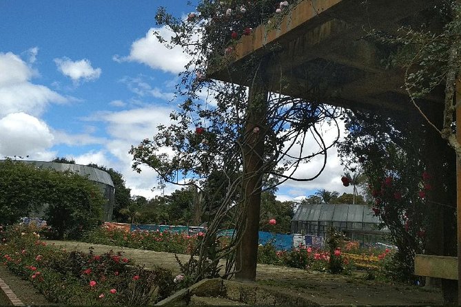 Botanical Garden Bogotá Private Tour (4 Hrs.) - The Garden Visit: Five Ecosystems, Exotic Plants, and Andean Aromas