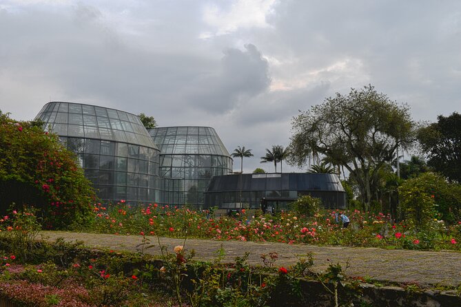Botanical Garden José Celestino Mutis Photo Tour in Bogota - Photo Techniques You’ll Actually Use on Your Next Walk