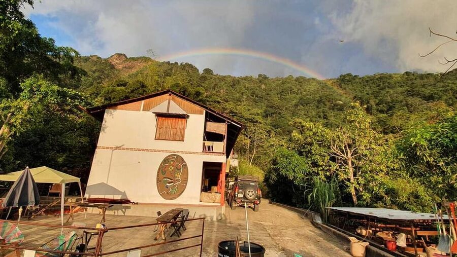 Cacao and Coffee Tour - The Cacao Exfoliant Experience, Natural and Practical