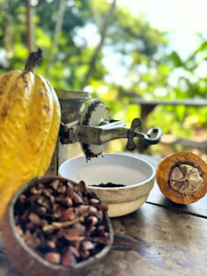 Cacao Experience Tour - Meeting in calm Minca, then heading into the Sierra