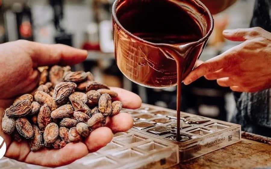 Cacao Experience Tour - The cacao farm portion: from tree to your mouth