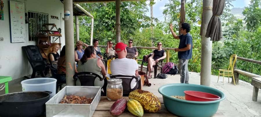 Cacao Experience Tour - The hike to the waterfall, with a few tough moments