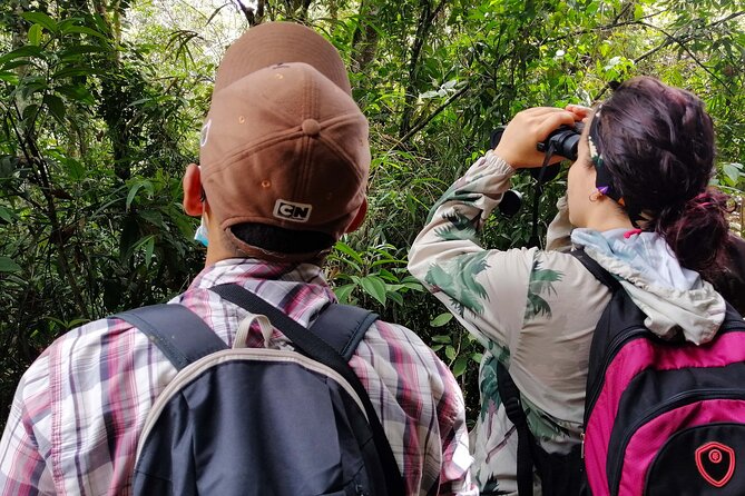 Cali: Bird Watching | Birding in the cloud forest at kilometer 18 - Price and value: does $175 for 6 hours make sense?