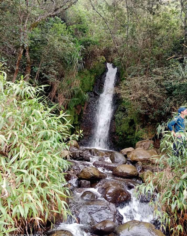 Cali: Cali River Waterfall and Great River Pools Tour - A Cali River day that feels way more local than a typical excursion
