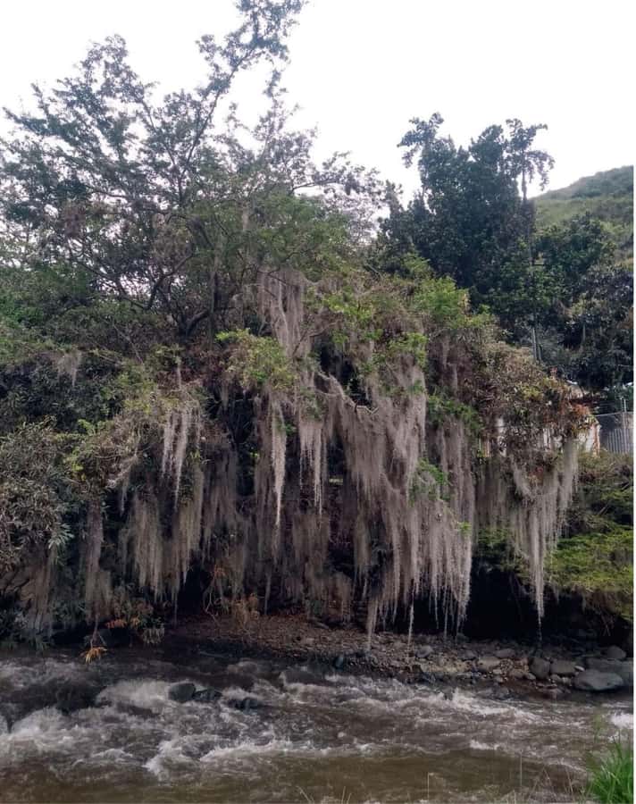 Cali: Cali River Waterfall and Great River Pools Tour - Cascada Rio Cali: waterfall pools and the hour you’ll remember
