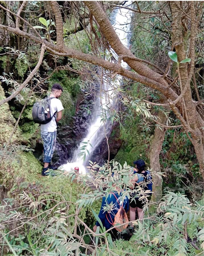 Cali: Cali River Waterfall and Great River Pools Tour - Pickup in Cali, then straight into the green belt