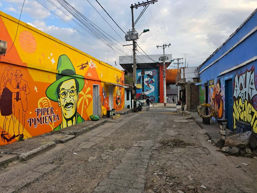Cali: Comuna 20 Siloé Street Art Tour - Should you book the Cali Comuna 20 Siloé street art tour?