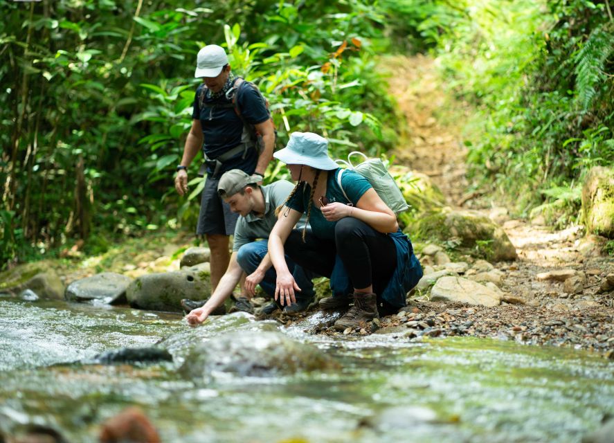 Cali: Hiking to the Pance waterfalls - Birds and biodiversity in the Farallones around Cali