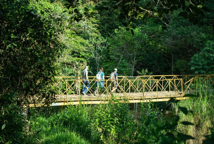 Cali: Hiking to the Pance waterfalls - Lunch and the value of what is included in $119