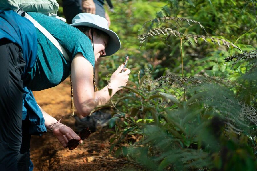 Cali: Hiking to the Pance waterfalls - Who this 7-hour hike suits, and who should skip it