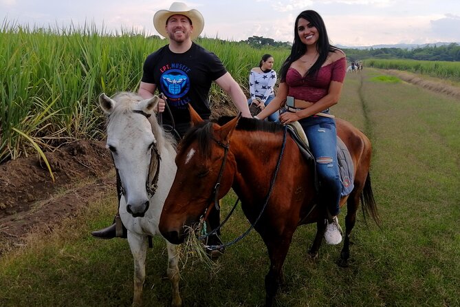 Cali: Horseback riding through beautiful landscapes and mountains - Key points to know before you go