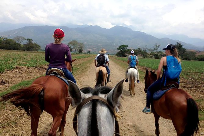 Cali: Horseback riding through beautiful landscapes and mountains - The heart of it: Dapa cloud forest ride (2 hours)