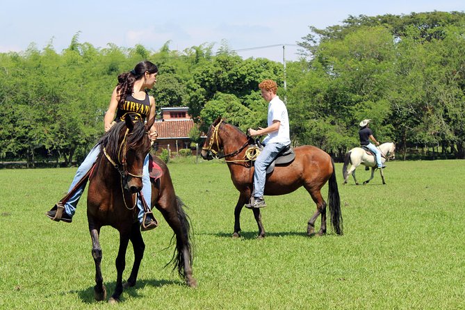 Cali: Horseback riding through beautiful landscapes and mountains - Food, drink, and what you can expect to taste