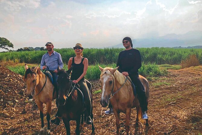 Cali: Horseback riding through beautiful landscapes and mountains - Pickup in Cali’s hotel zone, then out into mountain air