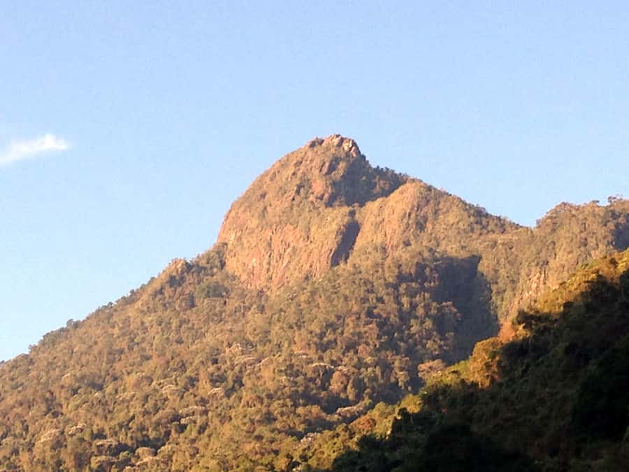 Cali: Pico de Loro Trekking Adventure - Farallones de Cali - Key things to know before you hike Pico de Loro