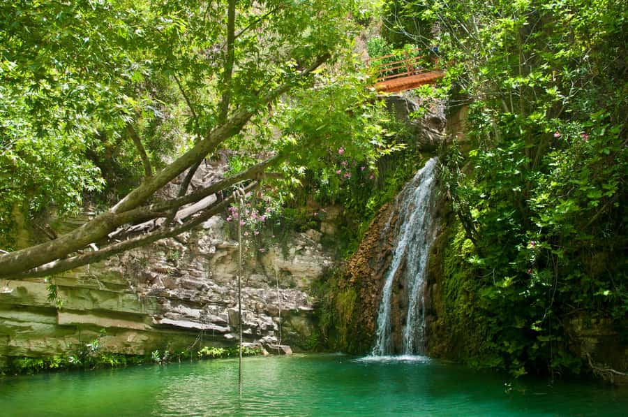 Cali: San Cipriano & River Adventure Day Tour - Key highlights you will feel right away