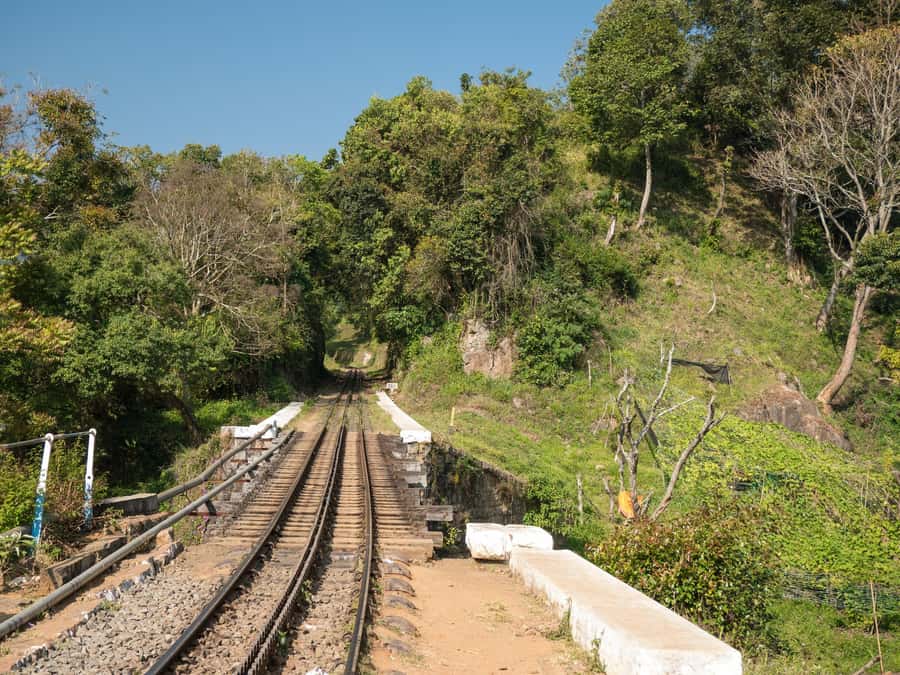 Cali: San Cipriano & River Adventure Day Tour - Why this San Cipriano river day feels different from a normal tour