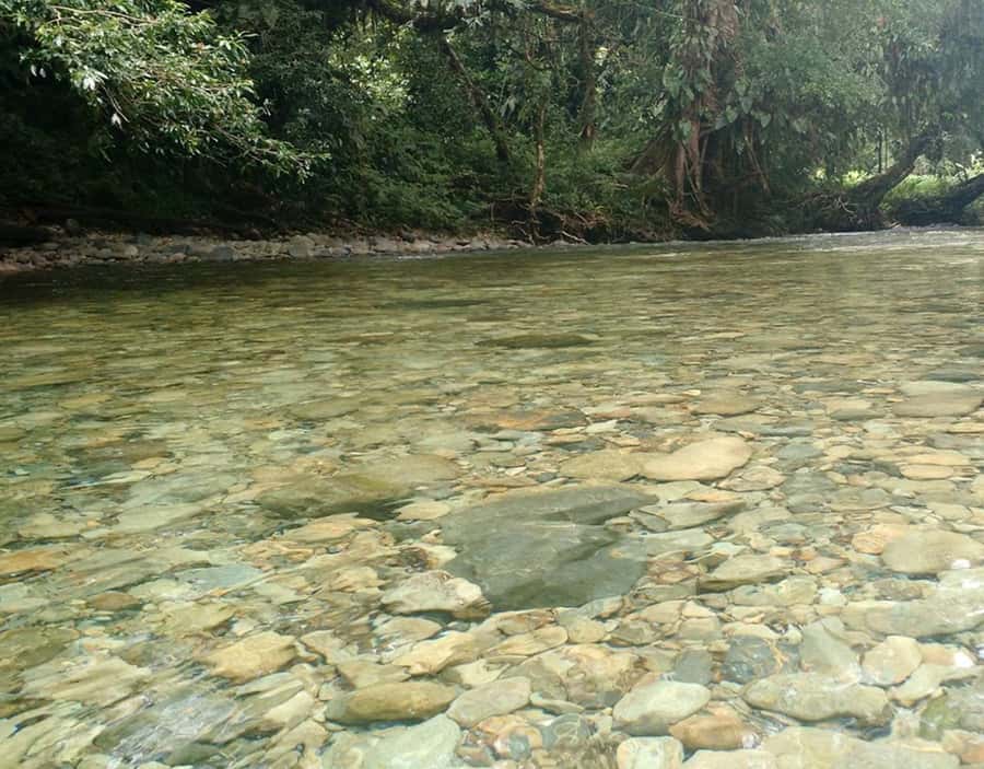 Cali: San Cipriano & River Adventure Day Tour - What to pack for a comfortable, no-stress day