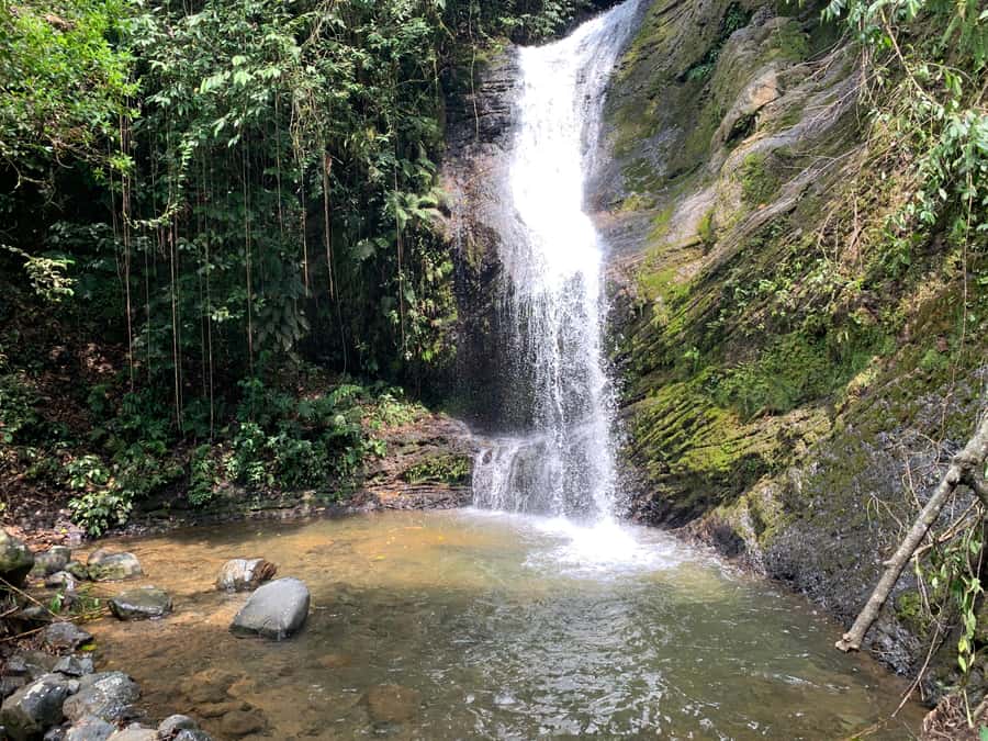 Cali: Tour of Waterfall in Pance River - Chorrera del Indio - Price and value: what $60 buys you in real terms