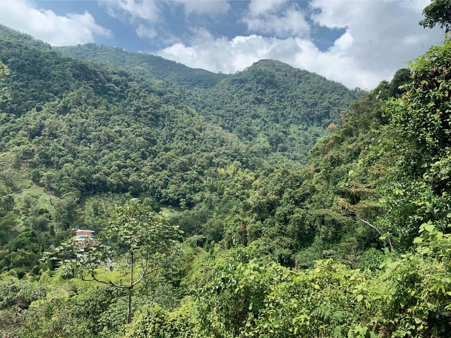 Cali: Tour of Waterfall in Pance River - Chorrera del Indio - Should you book this Cali waterfall and Pance River park tour?