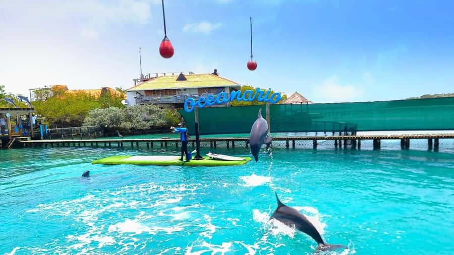 CARTAGENA: 4 islands by sport boat +oceanarium tickets - The submerged airplane stop: a quick wow moment