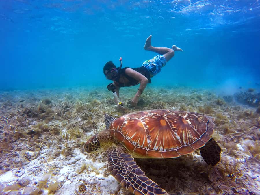 Cartagena: 5 Islands Boat Tour with Lunch, Snorkeling, & Bar - The Bay of Cartagena and the Bocachica Pass