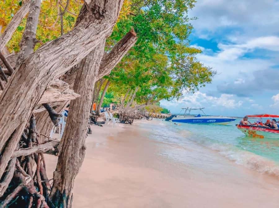 Cartagena: 5 ISLANDS by speedboat with SNORKELING & LUNCH - Rosario Islands: Photo Stops, Reef Time, and What Snorkeling Really Gives You