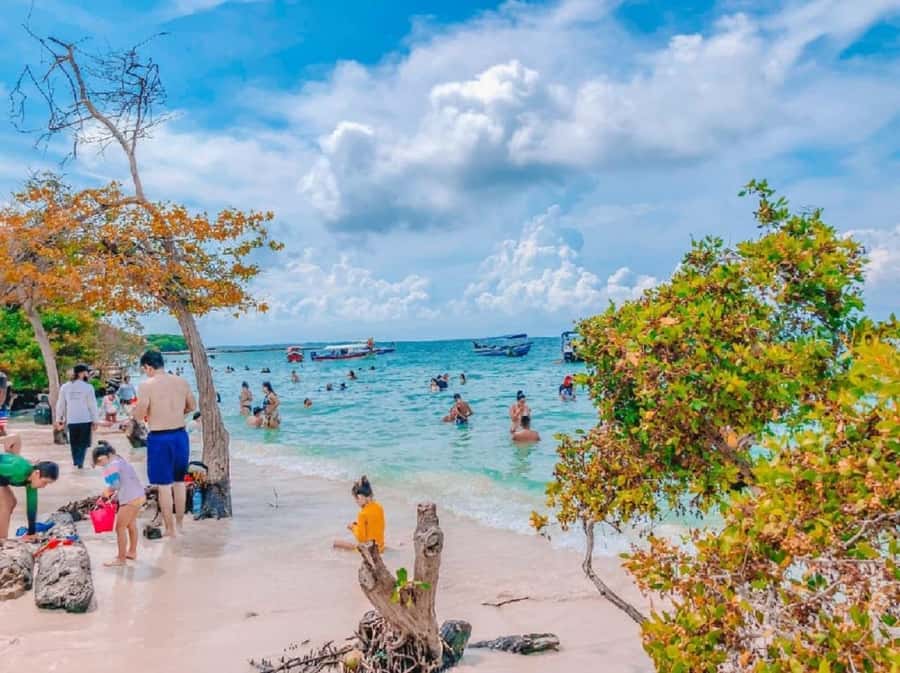 Cartagena: 5 ISLANDS by speedboat with SNORKELING & LUNCH - Cholón Break: Live Music, Seafood Cocktail, and Party Energy