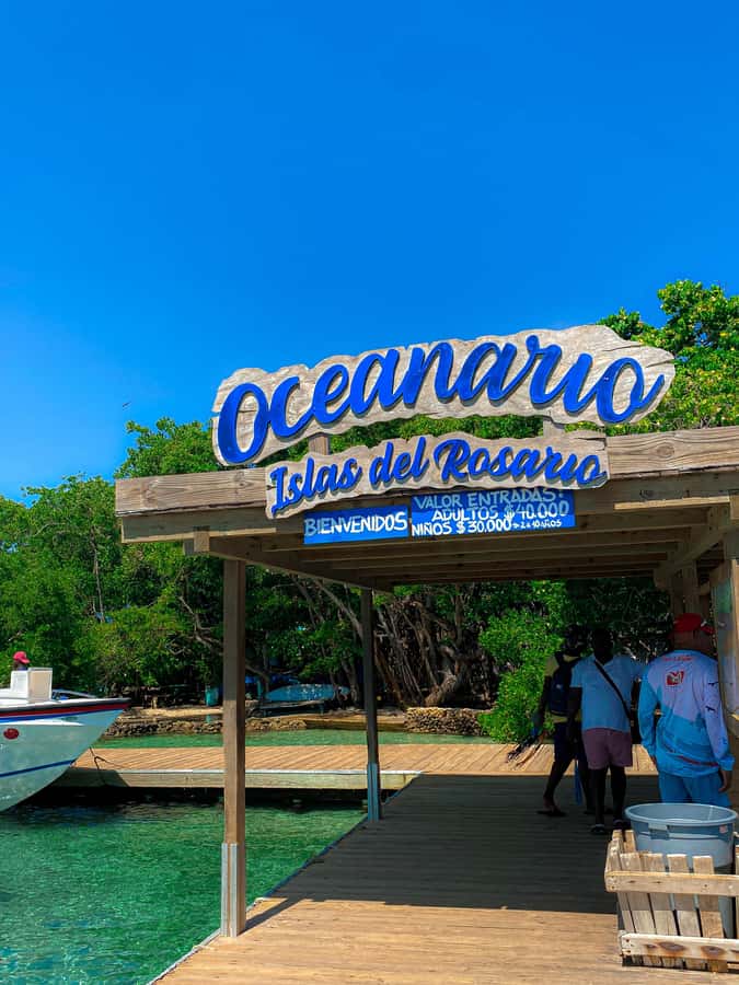 Cartagena: 5 Rosario Islands Tour with Snorkeling and Lunch - Rosario Islands in One Day: Why This 8-Hour Format Works