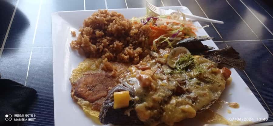 Cartagena: All-Inclusive Rosario Islands Speedboat Tour - Barú Lunch, Playa Blanca Water Time, and Where You Sit