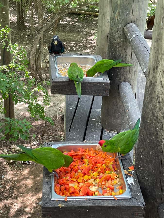 Cartagena: Aviary National Park Tour with Hotel Pickup - Walking the 17 acres, how to plan your time inside the park