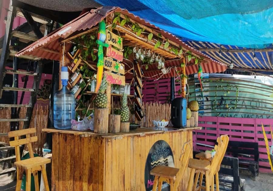 Cartagena: Baru Beach Day Trip with Bioluminescent Plankton - Who This Trip Fits Best (and Who Should Skip It)