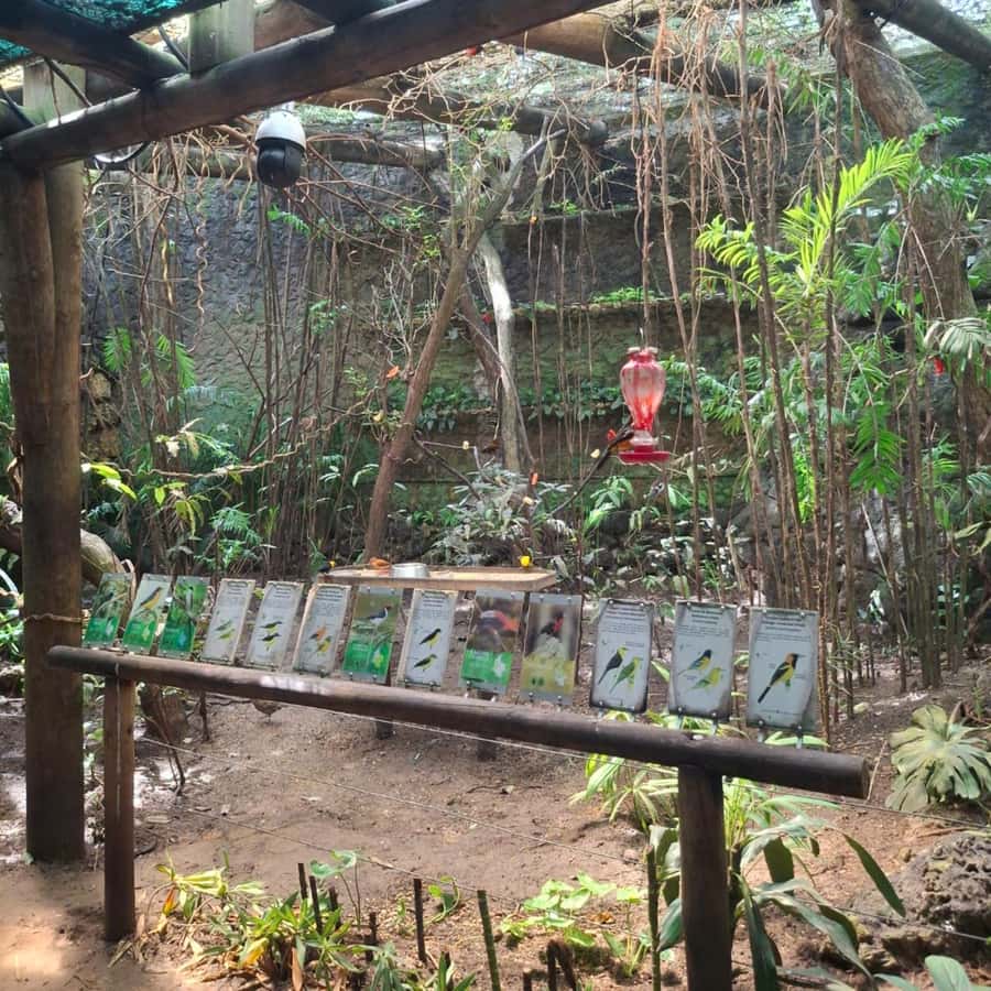 Cartagena: Baru Excursion + Aviary (ticket not included) + lunch - How to make your day smoother (and happier)