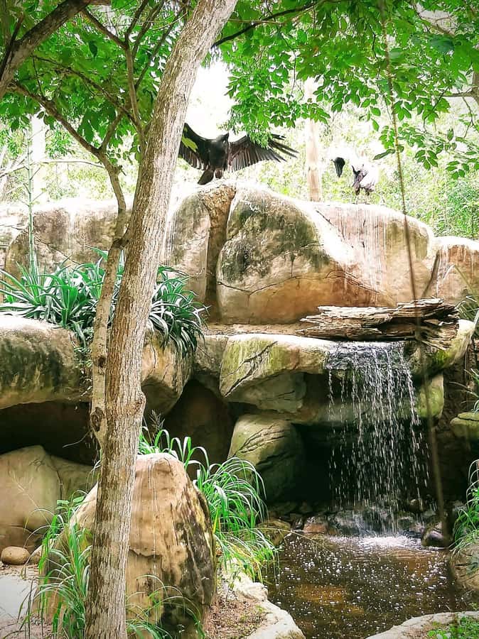 Cartagena: Baru Excursion + Aviary (ticket not included) + lunch - Should you book this Barú + Aviario combo?