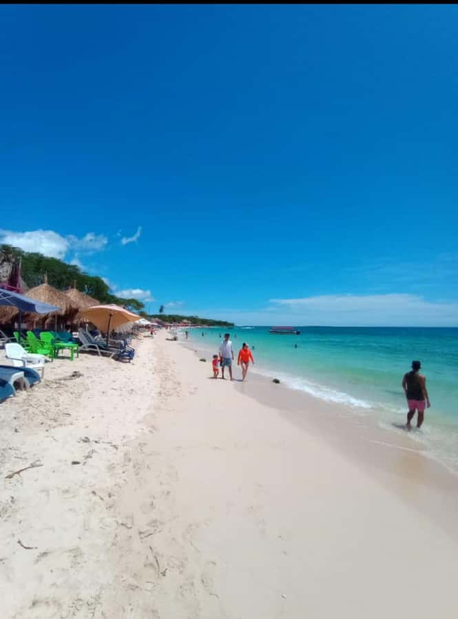 Cartagena: Barù Island Playa Blanca with Lunch - Key things to know before you go