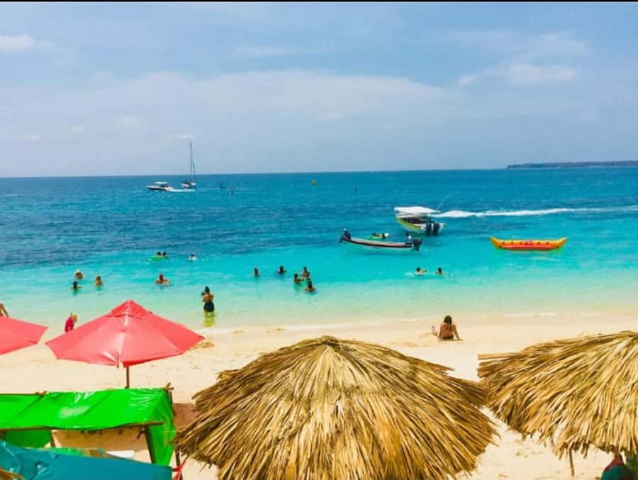 Cartagena: Barù Island Playa Blanca with Lunch - Who This Trip Suits Best, and Who Might Want Another Option