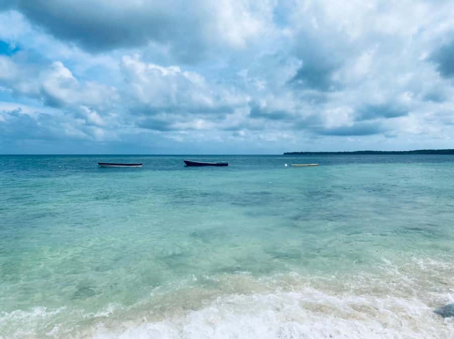 Cartagena: Baru Island & Playa Tranquila Day Trip with Lunch - Price and Value: What $26 Usually Covers, and What You Should Budget For