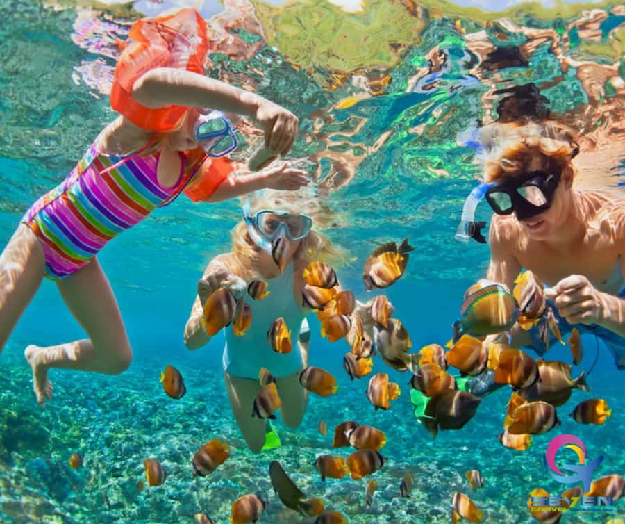 Cartagena: BARÚ Playa blanca with SNORKELING INCLUDED - Key things to know before you go
