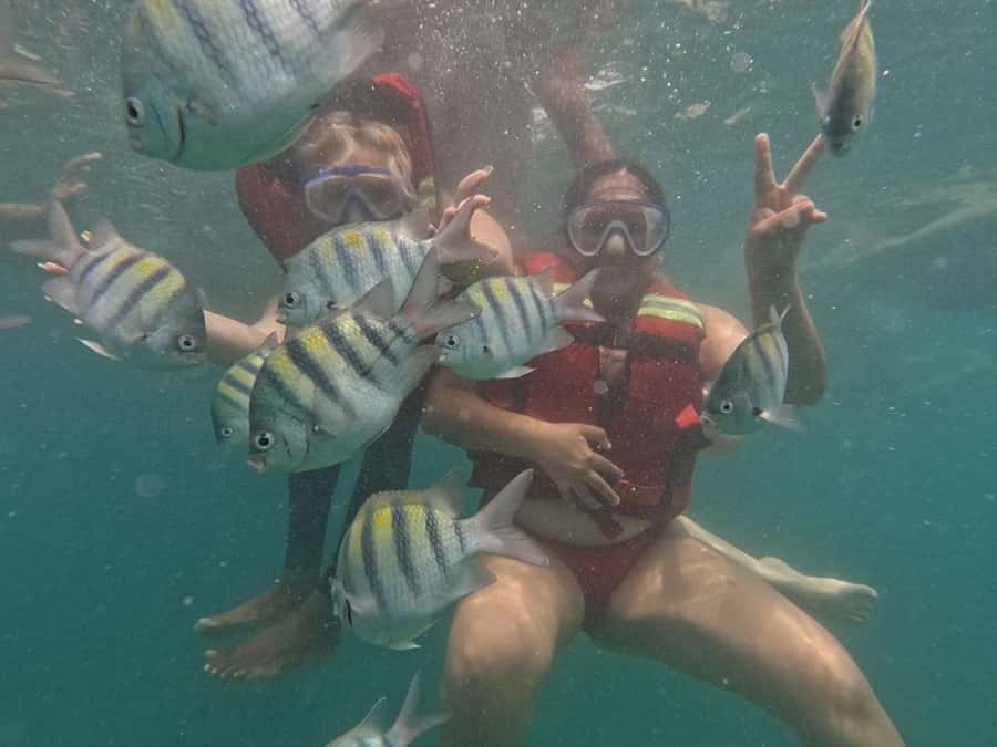 Cartagena: BARÚ Playa blanca with SNORKELING INCLUDED - Playa Blanca snorkeling is the main event