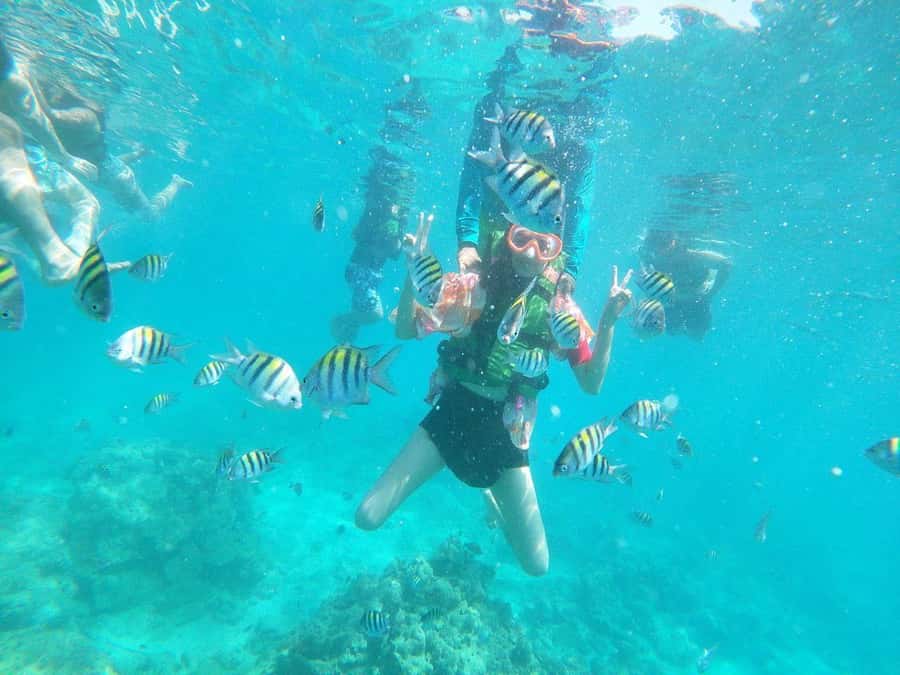 Cartagena: BARÚ Playa blanca with SNORKELING INCLUDED - Snorkeling at Playa Blanca: what’s included and what to watch for