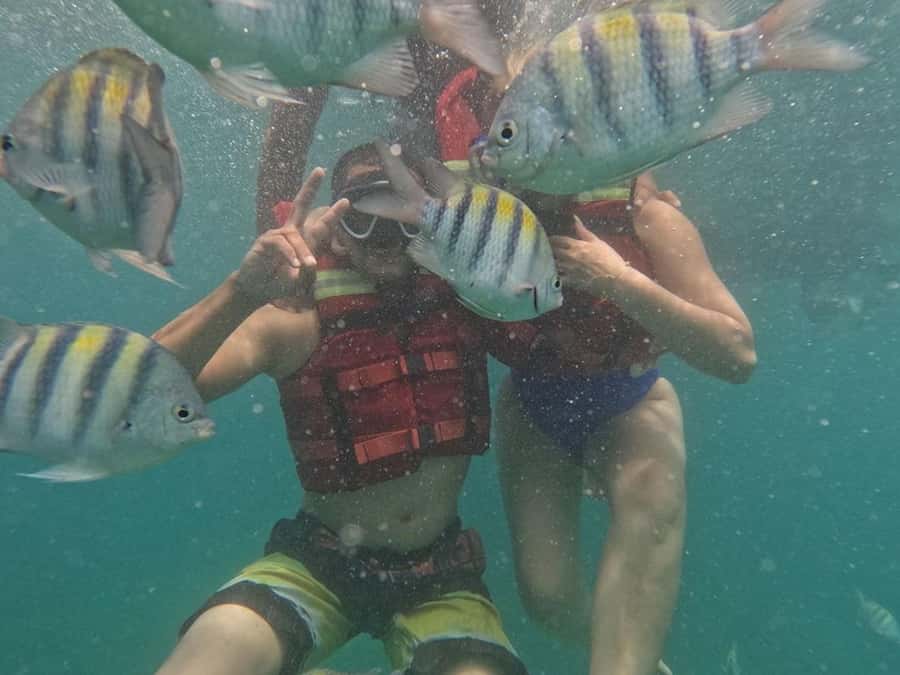Cartagena: BARÚ Playa blanca with SNORKELING INCLUDED - Getting to the boat and beach: pickup timing that can make or break your day